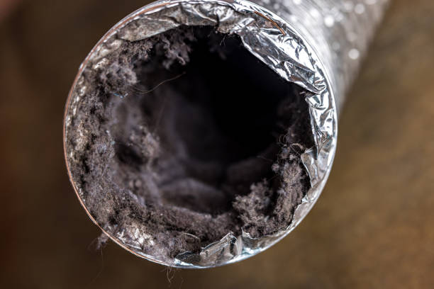 Best Residential Air Duct Cleaning  in Buckingham, FL